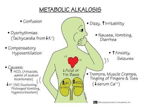 metabolische alkalose